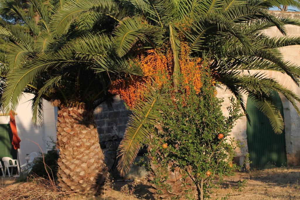 Masseria Vivi Il Salento Santa Caterina  Cameră foto