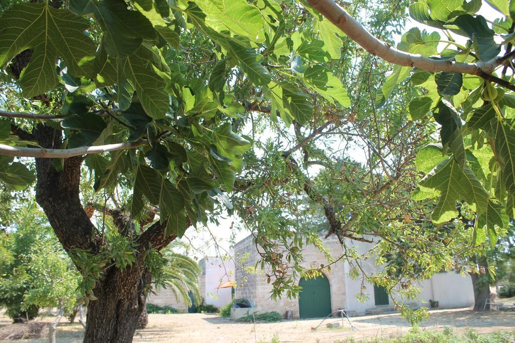 Masseria Vivi Il Salento Santa Caterina  Cameră foto